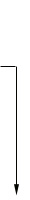decorative line
